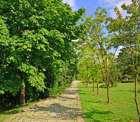 Ataturk Arboretum, located in Istanbul, Turkey, is a natural museum with many lice and trees.