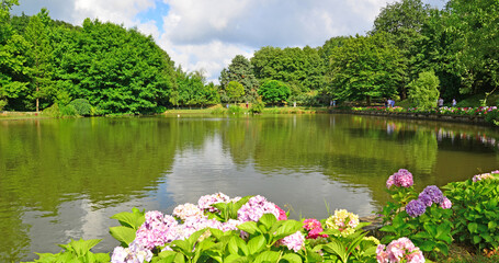 Ataturk Arboretum, located in Istanbul, Turkey, is a natural museum with many lice and trees.