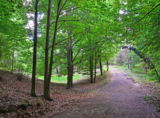 Ataturk Arboretum, located in Istanbul, Turkey, is a natural museum with many lice and trees.