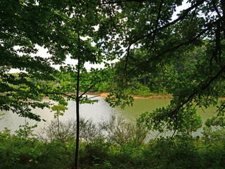 Ataturk Arboretum, located in Istanbul, Turkey, is a natural museum with many lice and trees.