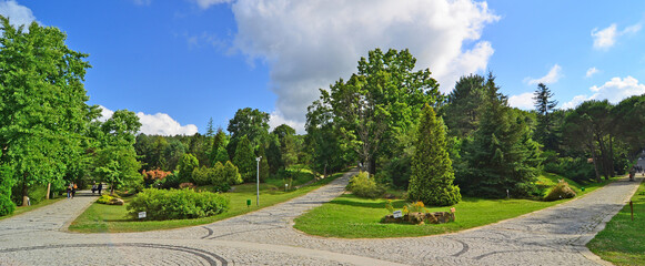 Ataturk Arboretum, located in Istanbul, Turkey, is a natural museum with many lice and trees.