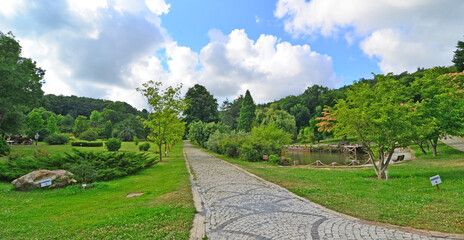 Ataturk Arboretum, located in Istanbul, Turkey, is a natural museum with many lice and trees.