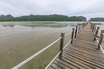 Obraz premium Wooden bridge over a body of water with a rope tied to it