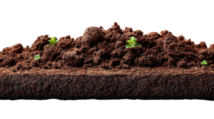 Cross-Section of fertile soil: Revealing the rich layers and textures of fertile soil, this image showcases the vital components of a healthy ecosystem.