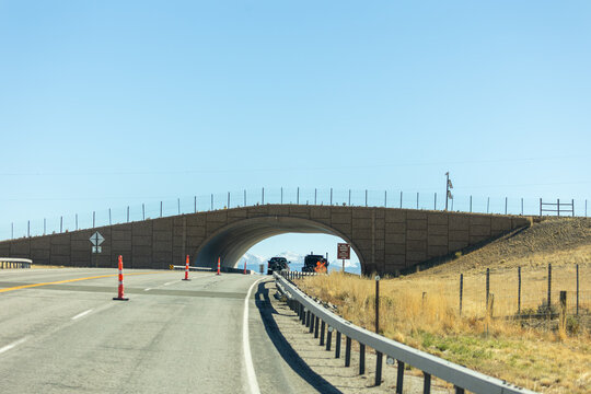wildlife crossing bridge, access for wildlife to cross highway safely 