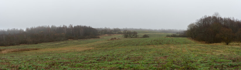 Misty autumn panorama of expansive green fields with brown soil patches, framed by a foggy birch woodland under a gray, overcast sky. Tranquil rural vista capturing seasonal serenity
