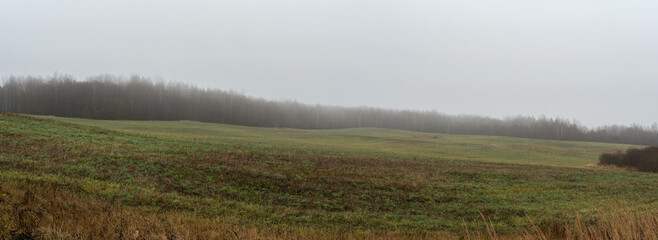 Misty autumn landscape featuring vast green fields with patches of brown soil, bordered by a distant birch forest under a cloudy, overcast sky. Serene rural scenery evoking tranquility