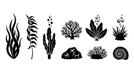 Black silhouette set of various marine plants and coral, including seaweed, coral, and a nautilus shell, displayed on a white background.