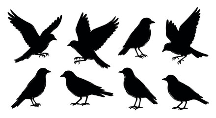 Eight black silhouette illustrations of birds in various poses, including flying and standing positions, showcasing different perspectives.