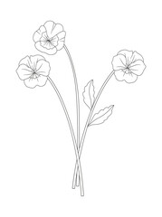 Bouquet of three pansy flowers with leaves. Bunch of blooming perennial wild plants. Line art, minimal style, contour. Botanical hand-drawn elements for design projects. Vector illustration