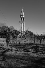 Clocher et vignes : &eacute;l&eacute;vation rurale sous lumi&egrave;re fig&eacute;e