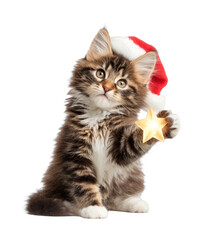 PNG Festive kitten holding star