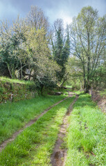 Walking by Trees hiking route, Casas del Abad, Avila