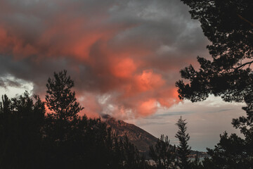 Fototapety na wymiar - Fototapeta24.pl