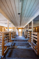 Empty cozy barn for breeding dairy cows. Modern and eco-friendly wooden structure. Vertical photo