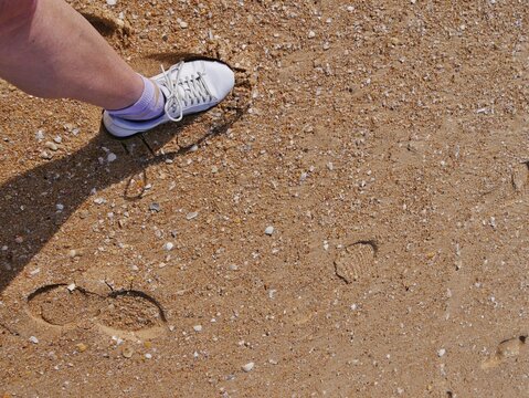 Bein mit Turnschuh im Sandstrand