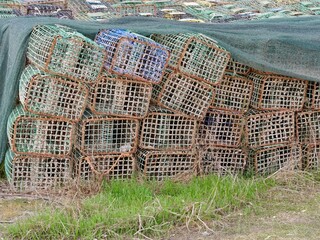 Fischreusen in Portugal Algarve