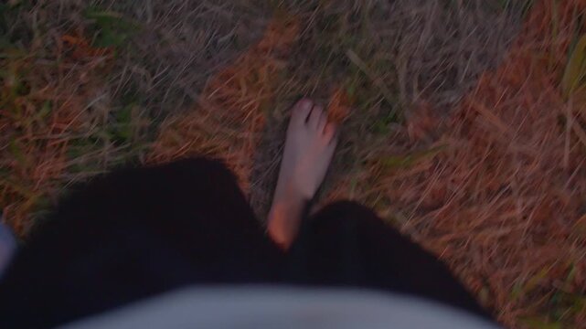 Walking quietly through sunlit fields, Unshod walk through verdant meadows under softly fading evening light
