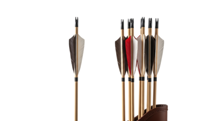 Arrows, Traditional Wooden with Feather Fletching and Metal Tips in a Leather Quiver isolated on a transparent background, cutout, PNG