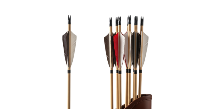 Arrows, Traditional Wooden with Feather Fletching and Metal Tips in a Leather Quiver isolated on a transparent background, cutout, PNG