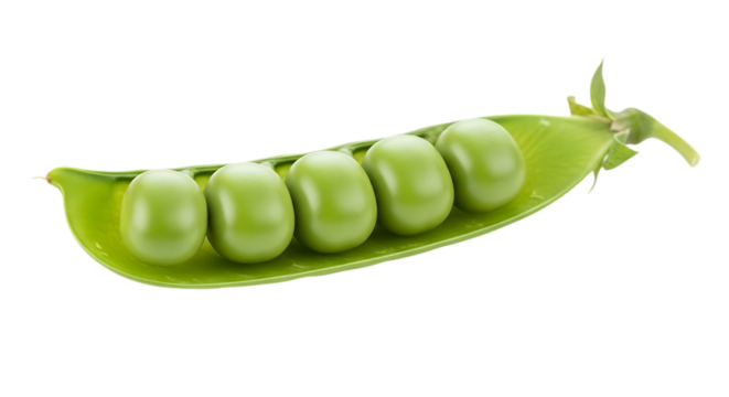 Pea Pod, Five Bright Green Peas Nestled Inside isolated on a transparent background, cutout, PNG