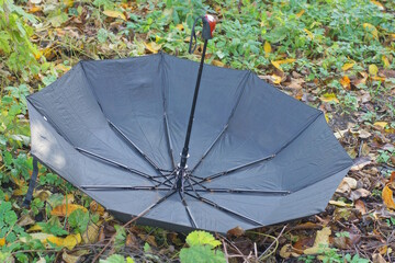 One black open umbrella lies on the grass and fallen leaves in an autumn park