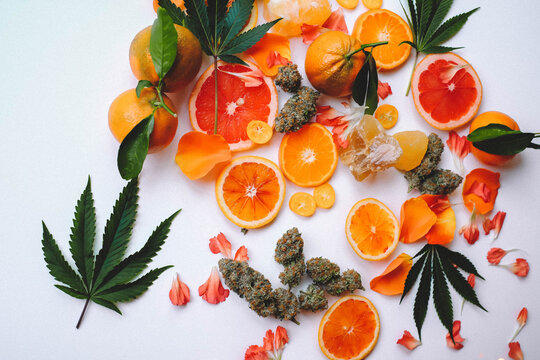Citrus Terpenes and Nugs