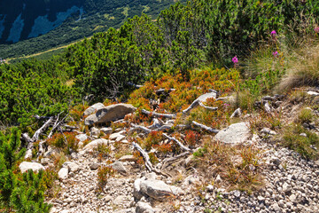Landscape of Rila mountain Around Musala peak, Bulgaria
