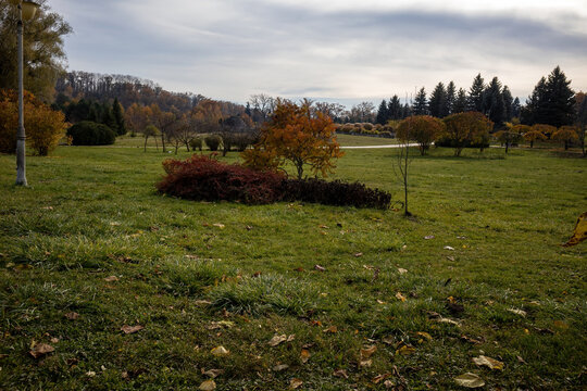 Autumn park landscape with colorful trees and cloudy sky