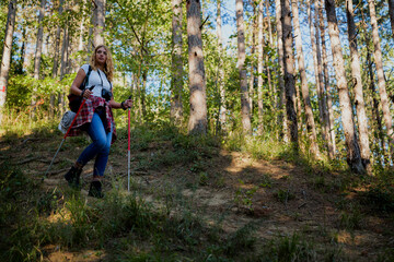 Obraz premium Woman hiking in summer forest using trekking poles