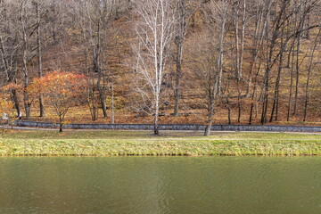 Autumn park landscape with bare trees and calm river