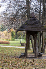 Rustic wooden gazebo in autumn park with fallen leaves