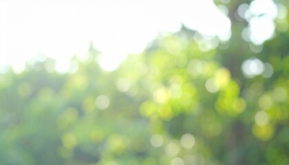 Obraz premium Abstract Blurred Green Background Bokeh Circles Lush Nature Outdoors Texture