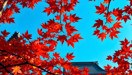 Bright colorful autumn maple leaves on a tree branch against a blue sky, creating a beautiful natural fall foliage background