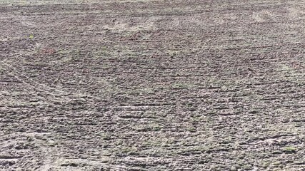 An abstract texture of tilled soil, revealing patterns created by agricultural machinery. The rough surface of the dirt implies work, harvest or barrenness