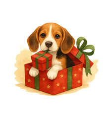 Beagle in Gift Box