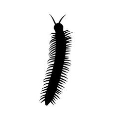 Insect Millipede silhouette