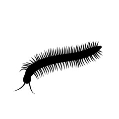 Insect Millipede silhouette