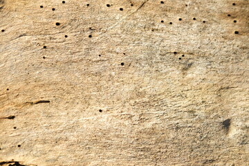 brown wood texture, dark wooden abstract background
