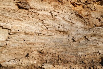 brown wood texture, dark wooden abstract background
