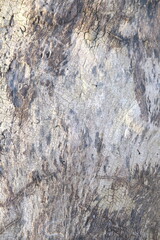 brown wood texture, dark wooden abstract background
