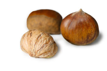 Three Autumn Chestnuts from Svaneti on White Background Georgian Freshness