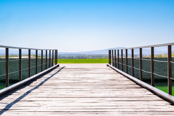 Fototapeta premium Pasarela de madera con barandas metálicas que conduce hacia un paisaje vitivinícola en el valle de San Juan, Argentina. La escena muestra una laguna artificial con reflejos verdes, rodeada de viñedos,