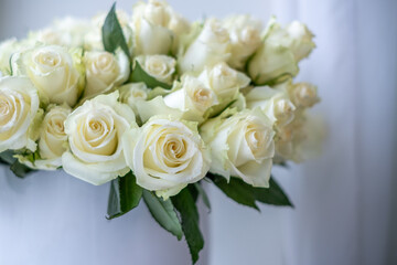White roses arranged beautifully for a celebration, creating an elegant background for anniversaries, weddings, or special occasions, enhancing the atmosphere of joy and love