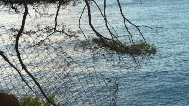 Rockfall protection net on a cliff with pine trees and sea. Tranquil seascape showing rockfall protection netting on a coastal cliffside, with pine tree branches hanging over the gently blue sea