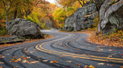 Winding road through autumn forest with colorful trees