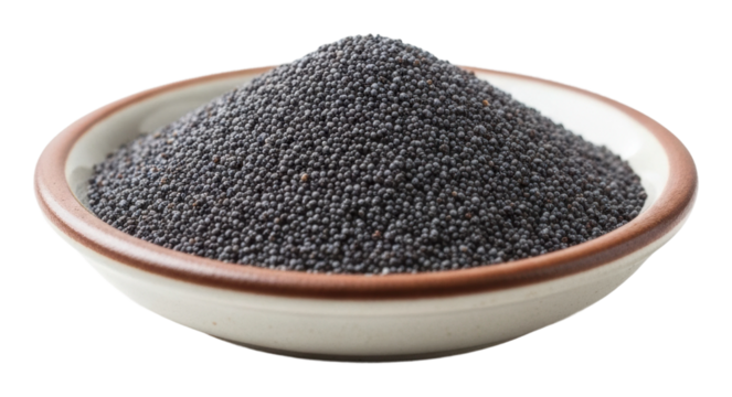 Harvesting black poppy seeds kitchen food isolated on transparent background