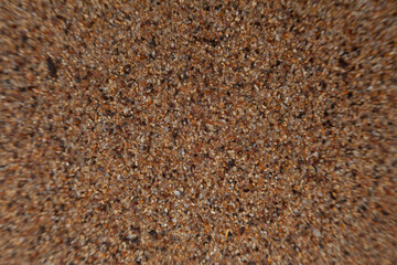 Detailed Natural Sand Texture