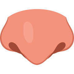 Close up of a cartoon nose illustration with pink skin tone and subtle shading on a transparent background detail