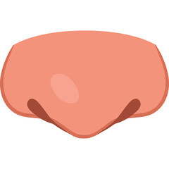 Close up illustration of a cartoon nose in a simple flat design with a coral pink skin tone and brown nostrils against a transparent background